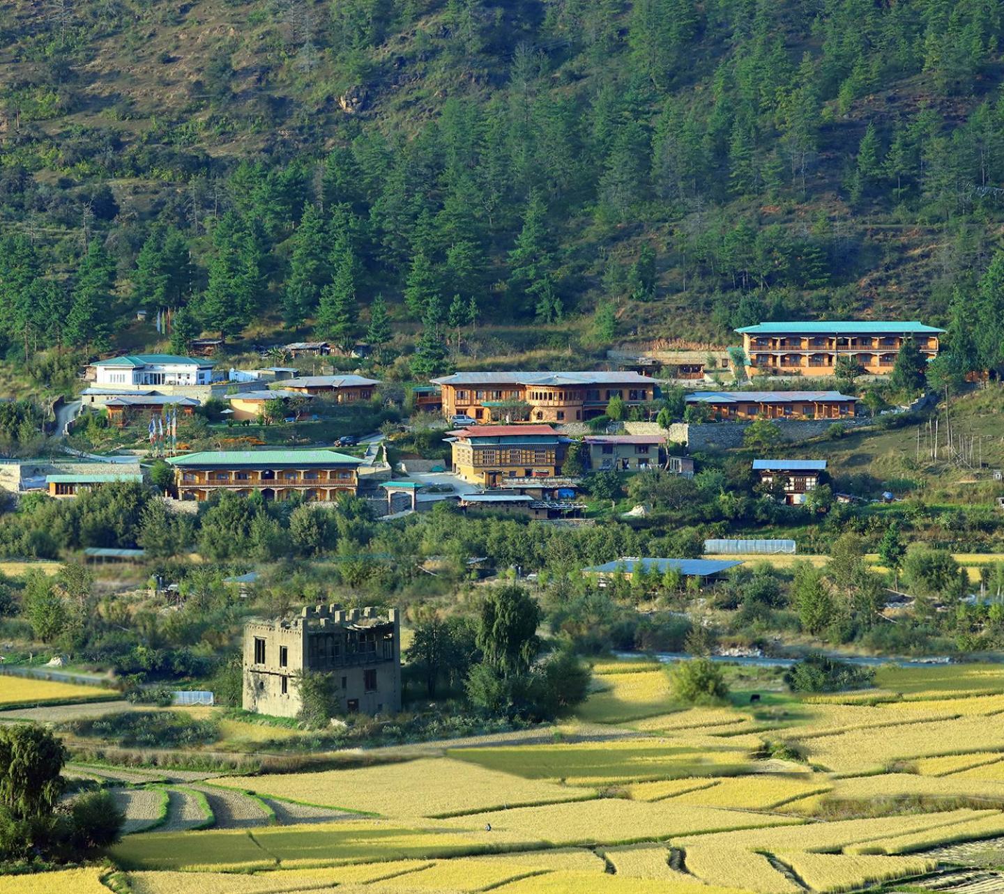 Rema Resort Paro Exterior foto